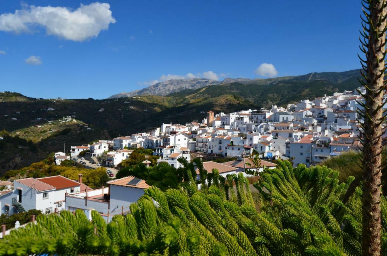 Posada La Plaza Canillas de Albaida Luaran gambar